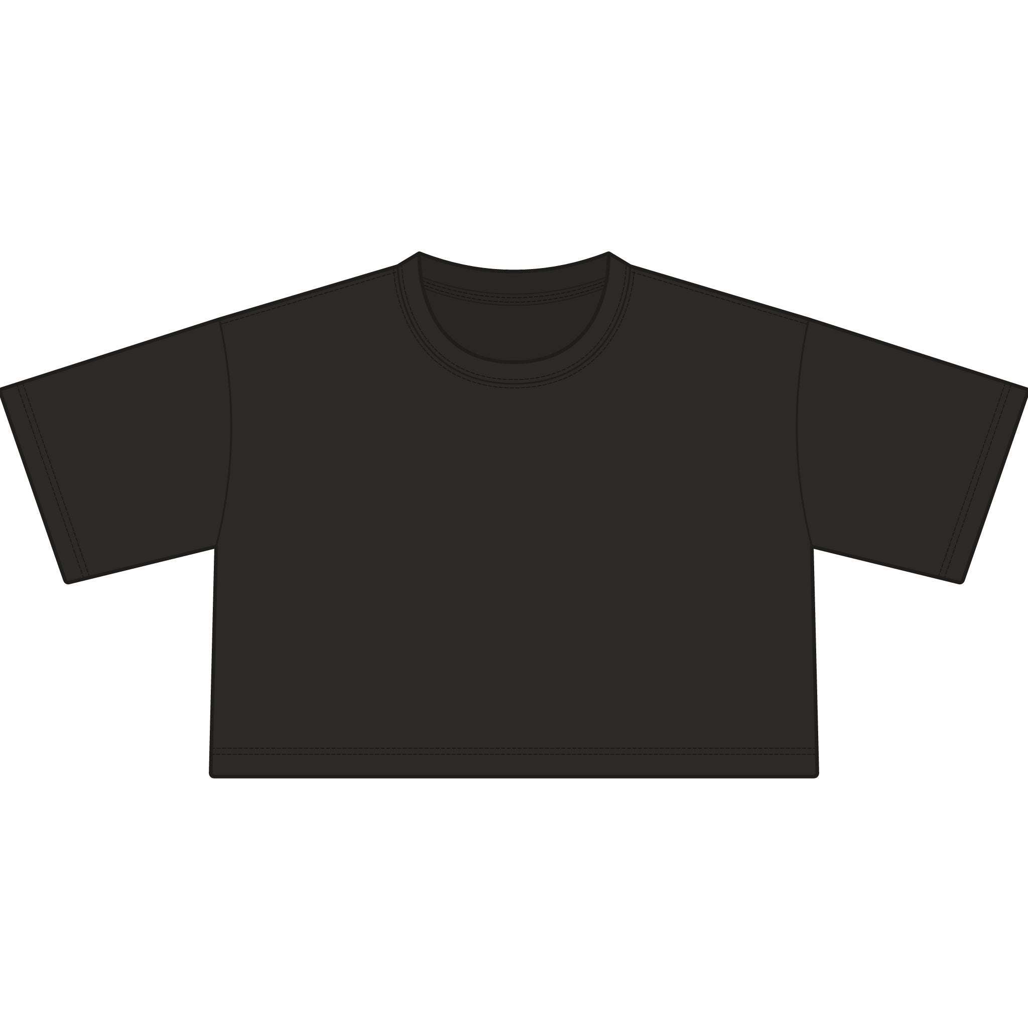 TIGERS Football Garment-Dyed Cropped Tee