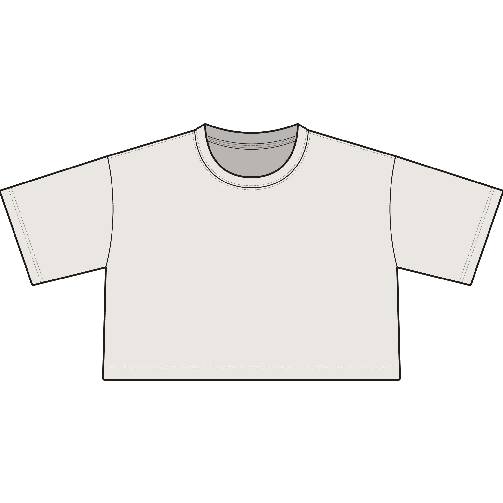 TIGERS Football Garment-Dyed Cropped Tee