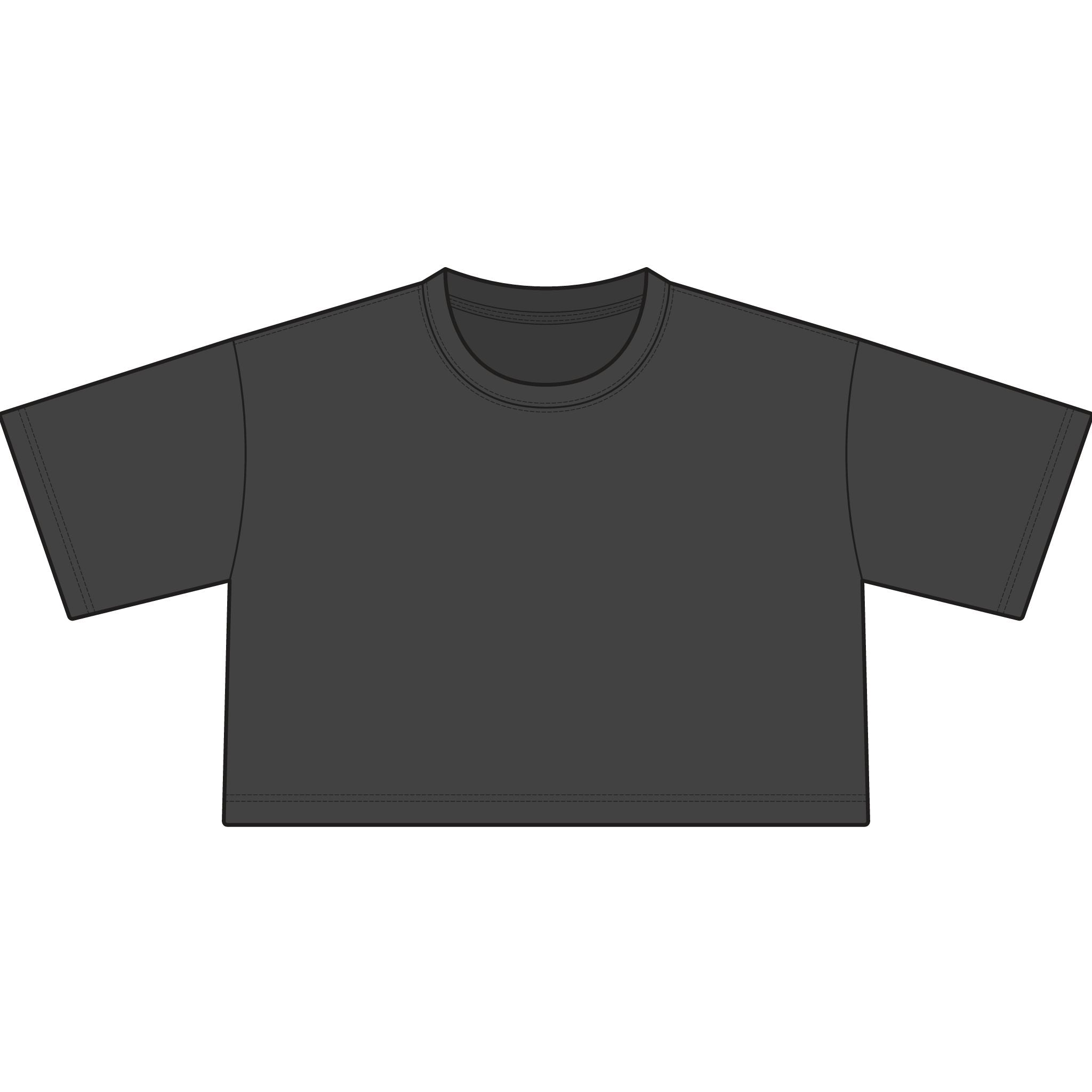 TIGERS Football Garment-Dyed Cropped Tee