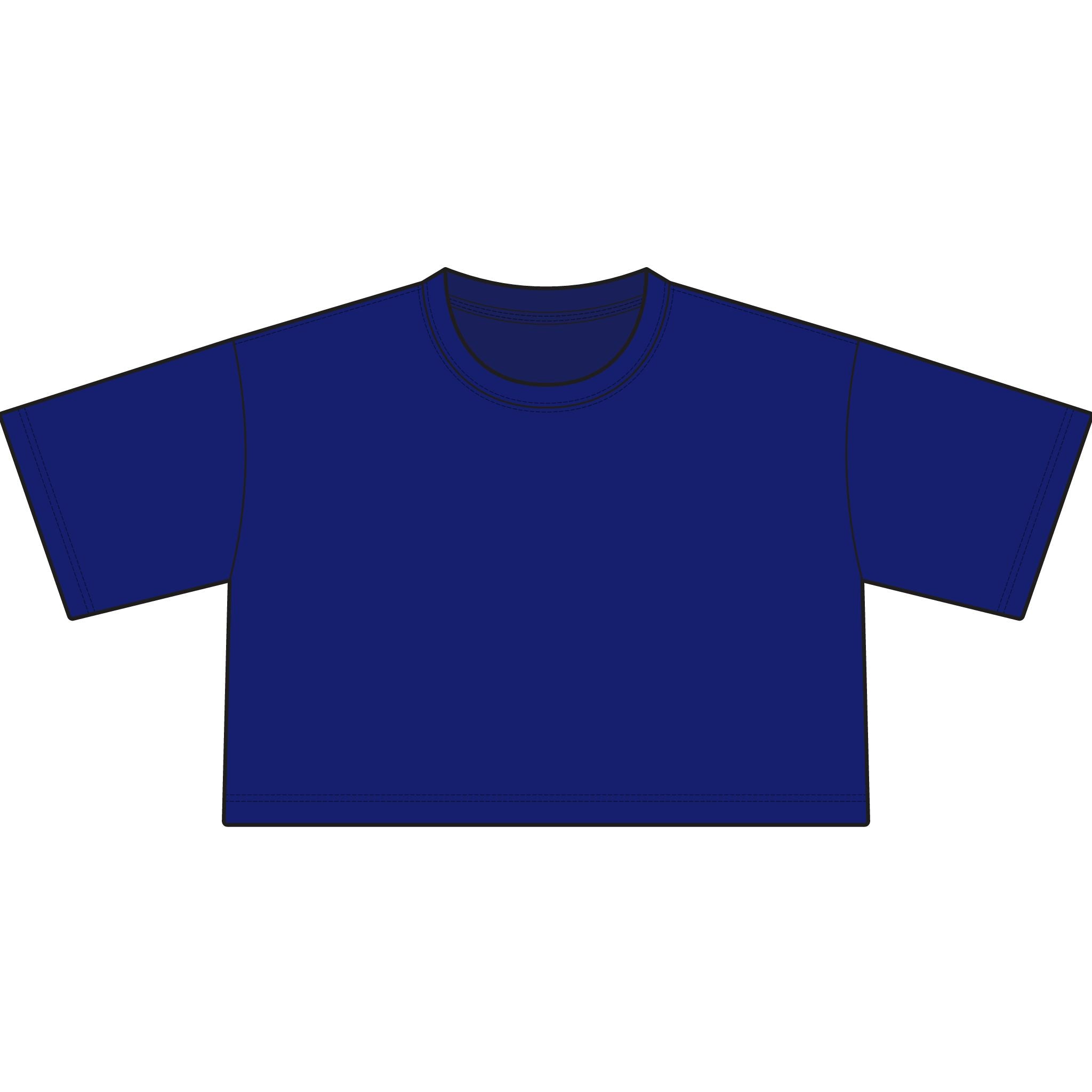 TIGERS Football Garment-Dyed Cropped Tee