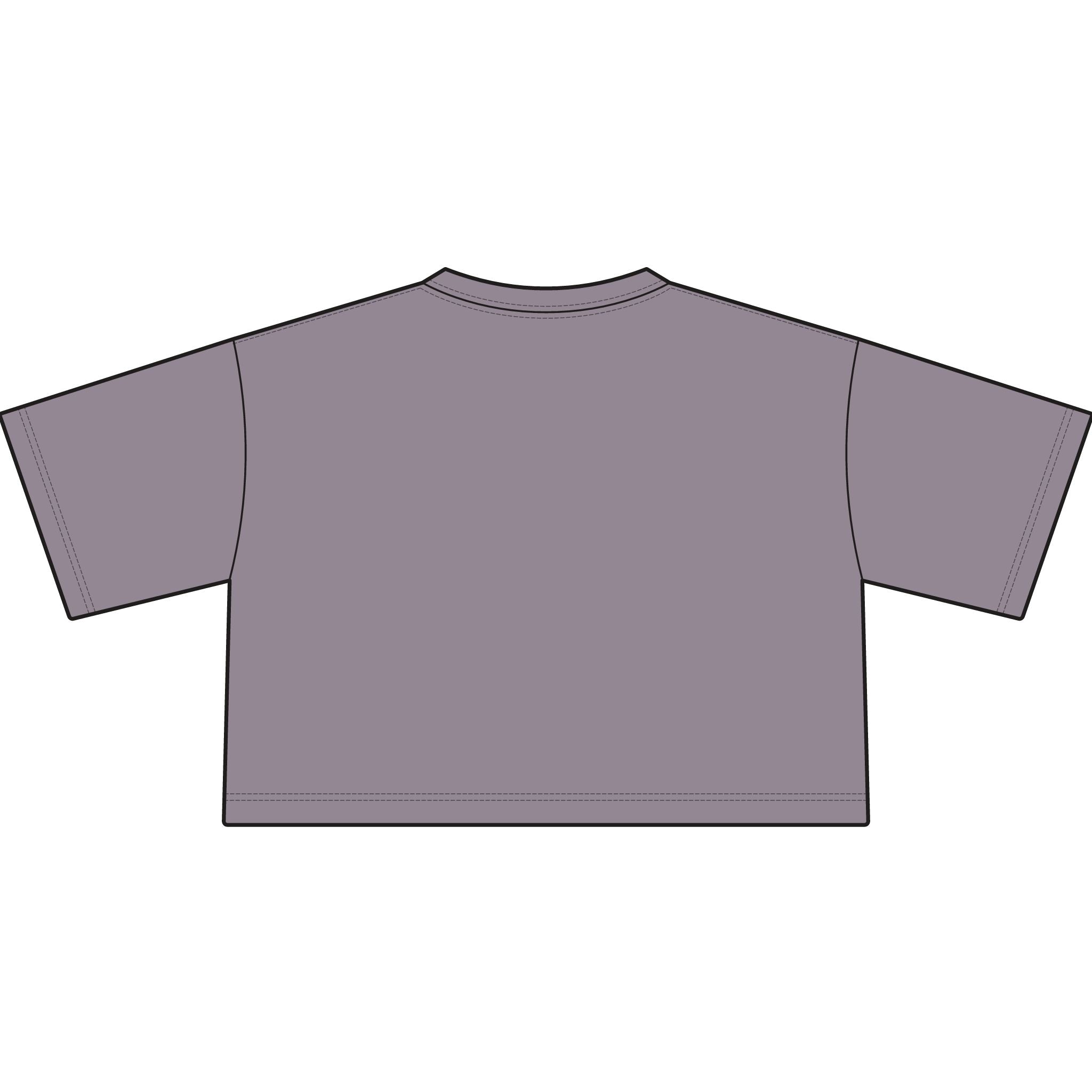 TIGERS Football Garment-Dyed Cropped Tee