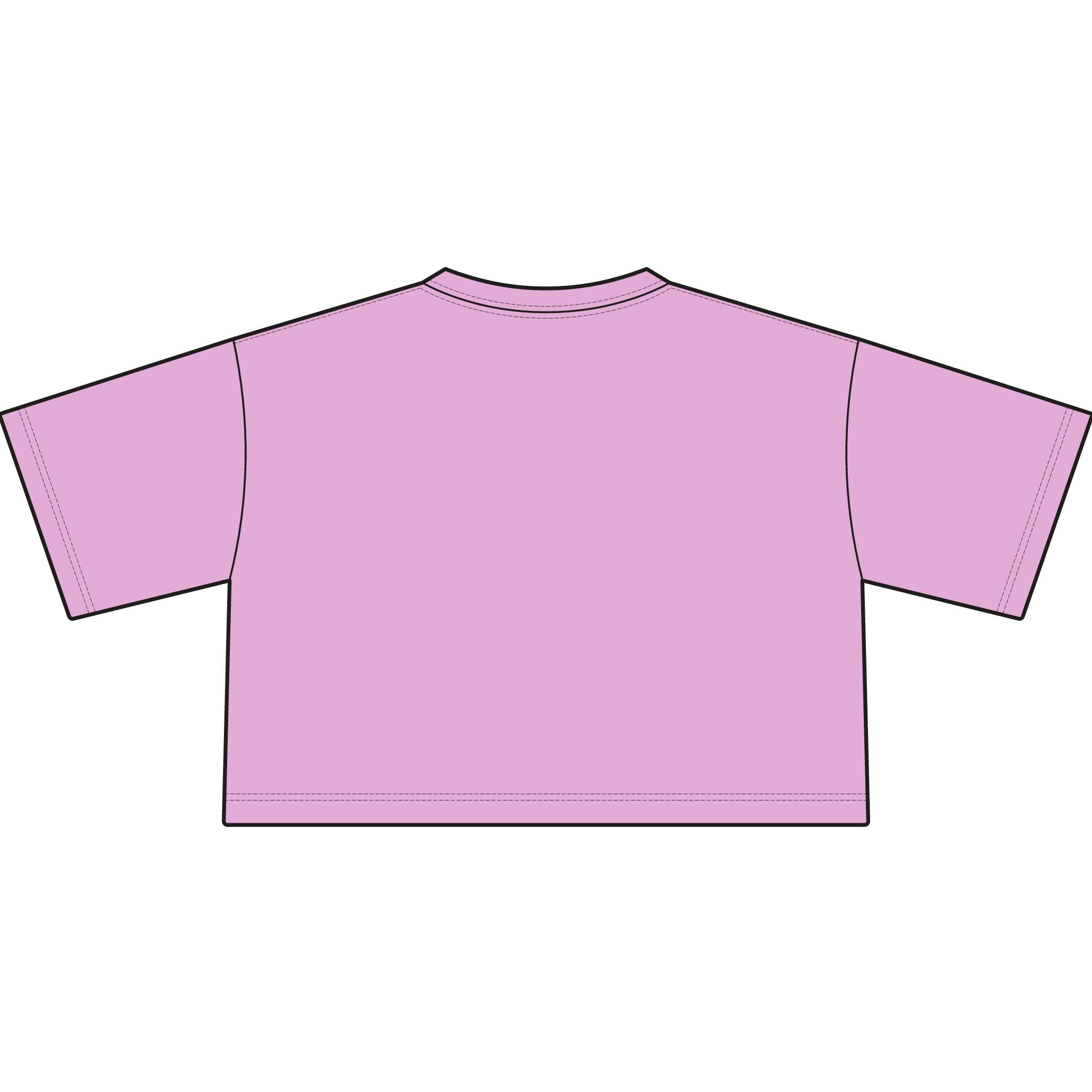 TIGERS Football Garment-Dyed Cropped Tee