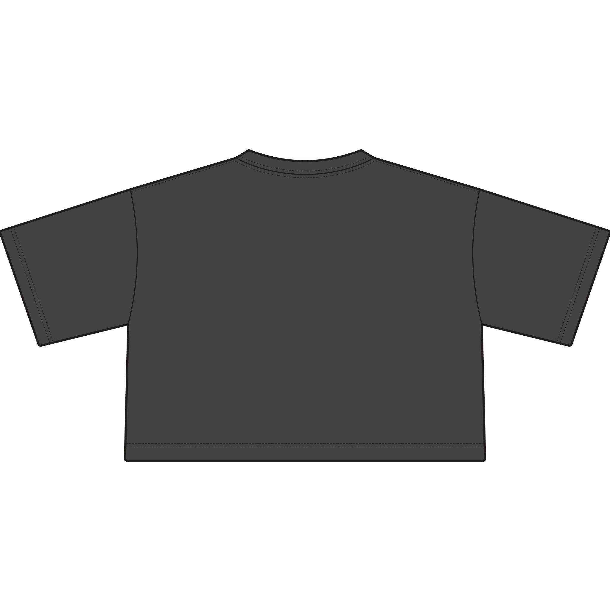 TIGERS Football Garment-Dyed Cropped Tee