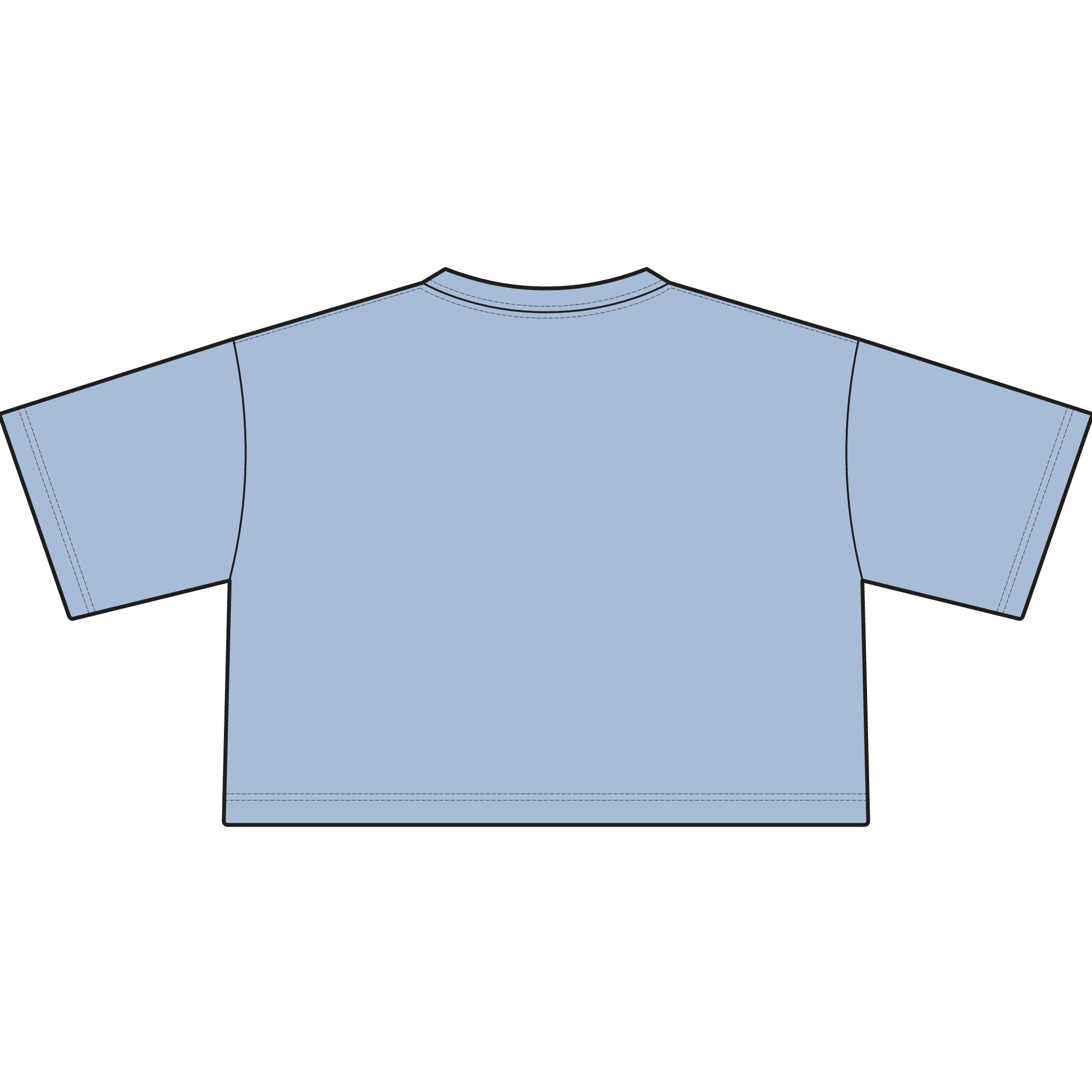 TIGERS Football Garment-Dyed Cropped Tee