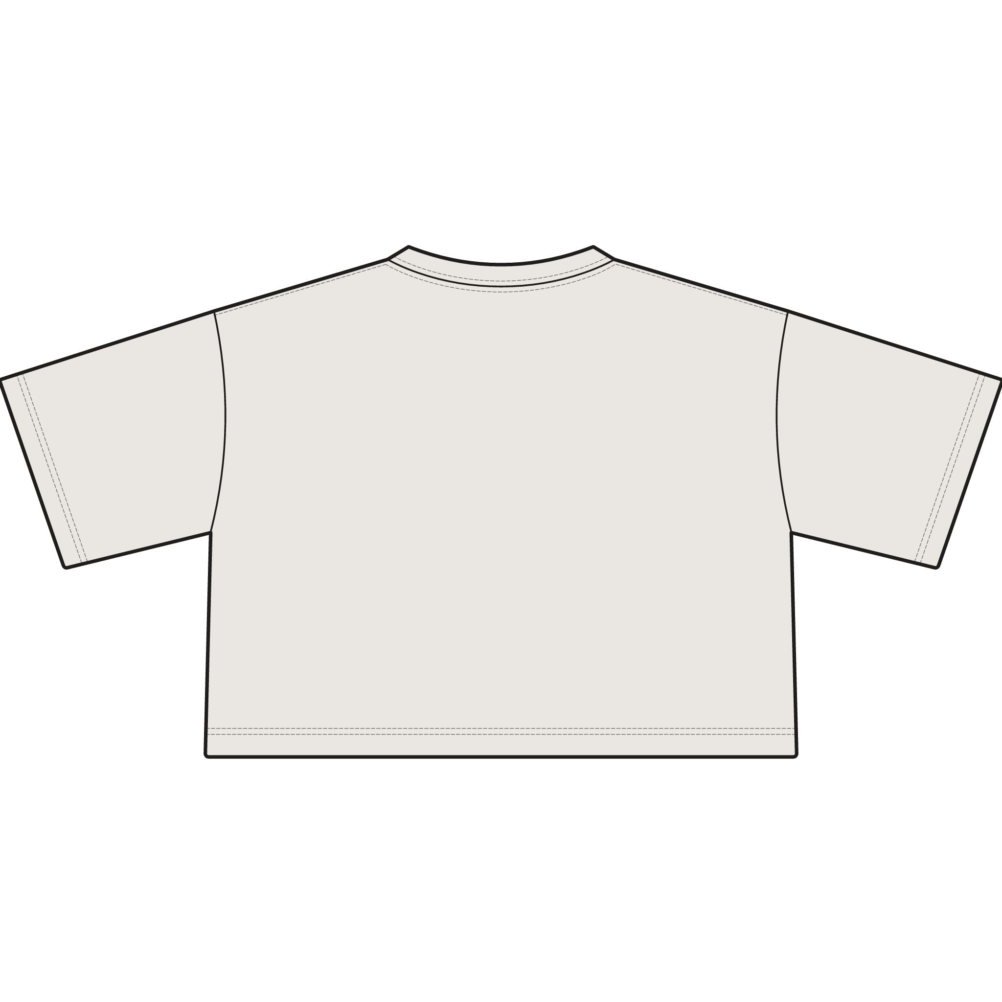 TIGERS Football Garment-Dyed Cropped Tee