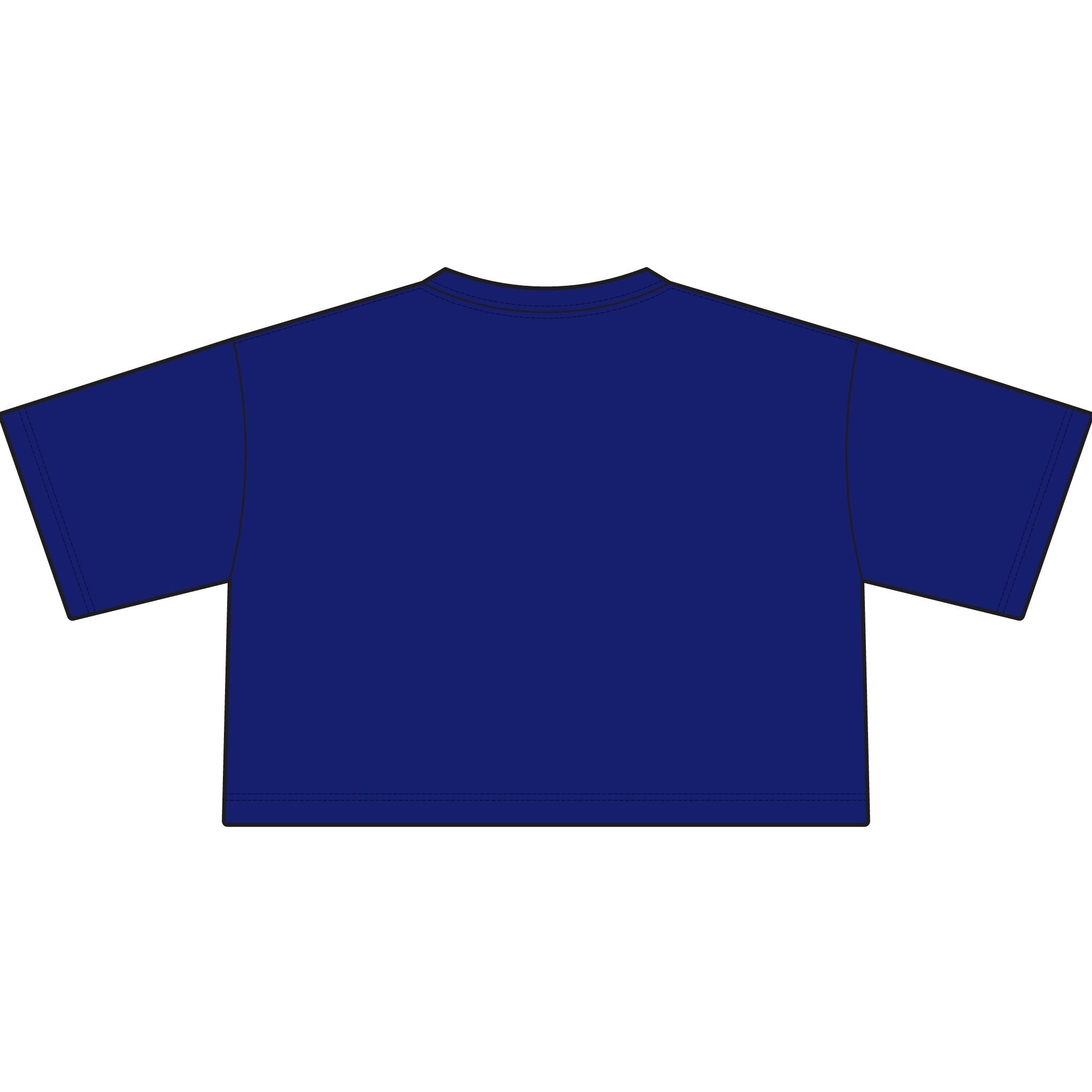TIGERS Football Garment-Dyed Cropped Tee