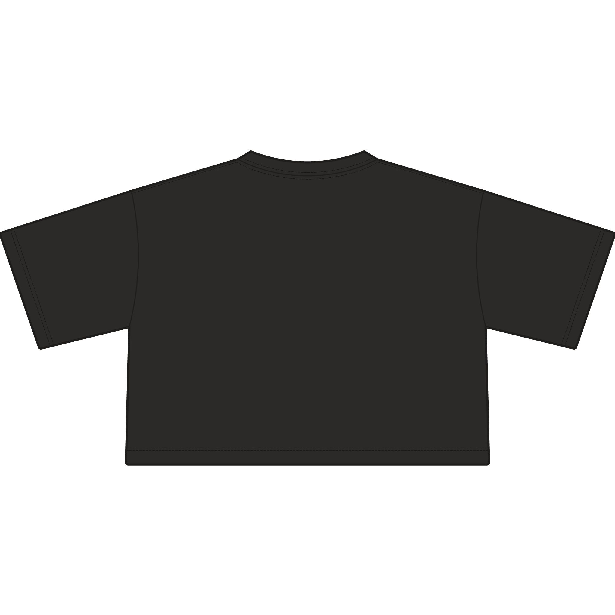 TIGERS Football Garment-Dyed Cropped Tee