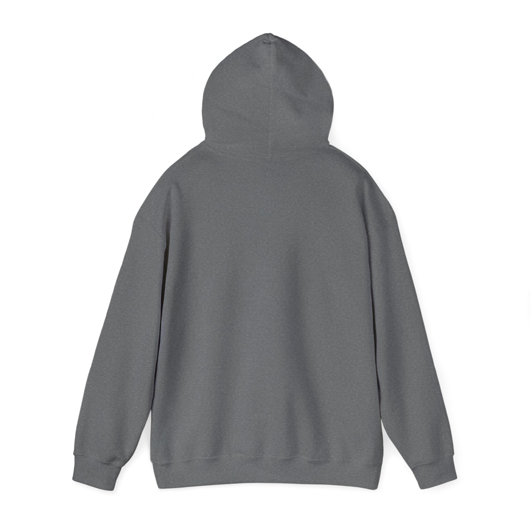 Tigers Football Hoodie/Classic Game Day Spirit Wear