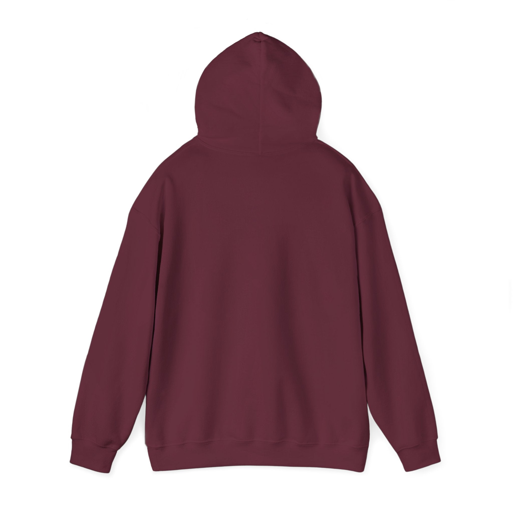 Tigers Football Hoodie/Classic Game Day Spirit Wear