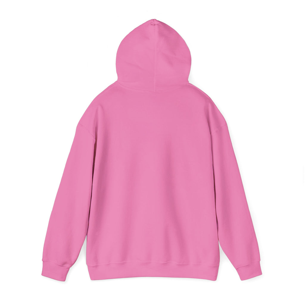 Tigers Friday Night Football Hoodie