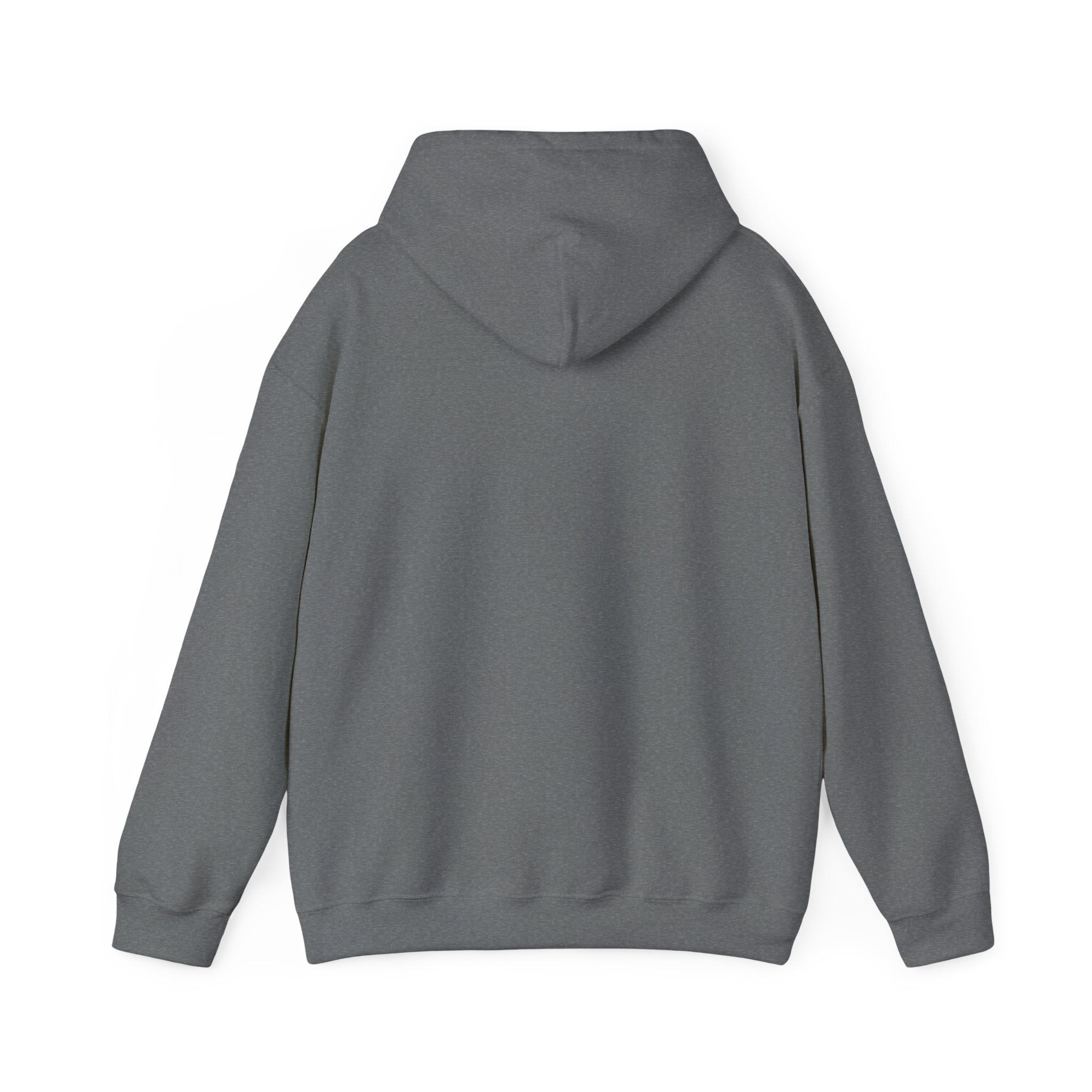 Tigers Football Hoodie/Classic Game Day Spirit Wear